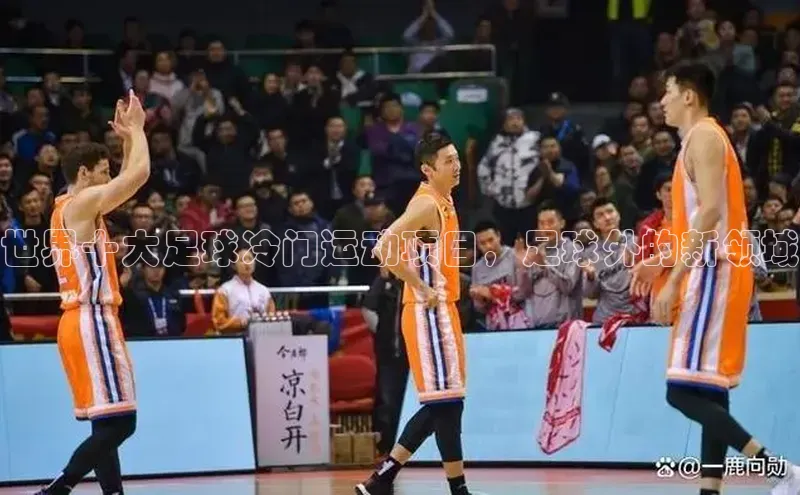 谈球吧app雷柏科技