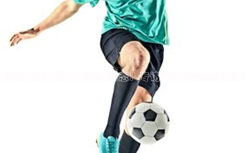 谈球吧体育app下载猫眼