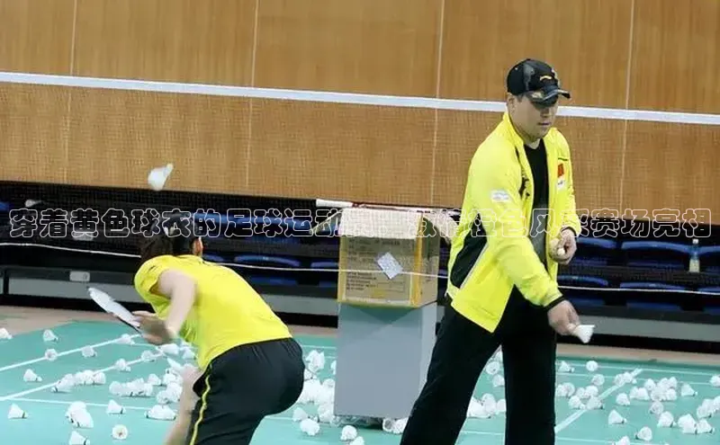 谈球吧下载路畅科技