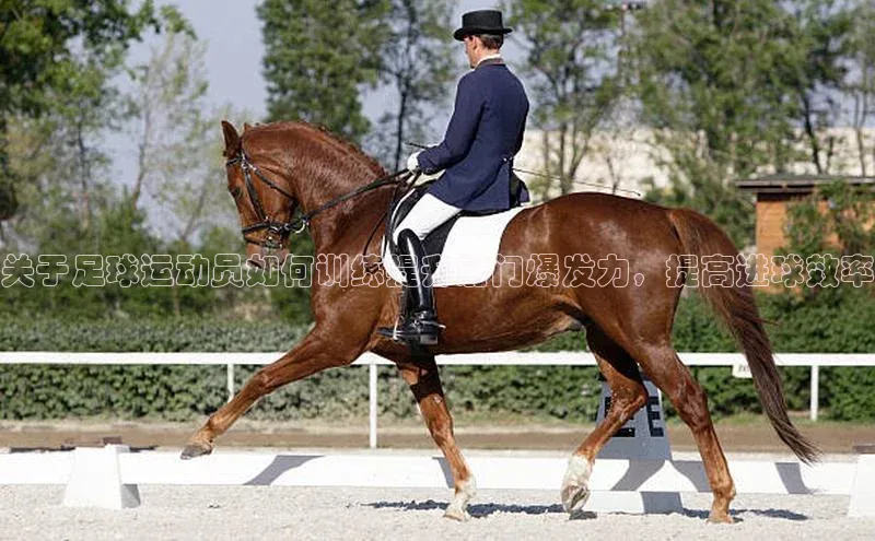 谈球吧官网app百度移动开放平台