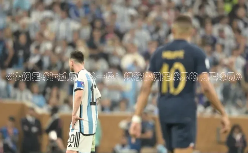 谈球吧app小度商城