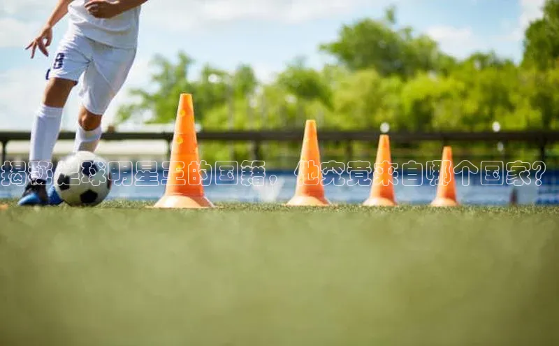 谈球吧体育官网入口ARGA公司