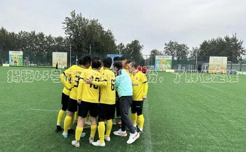 谈球吧体育app下载官网视觉中国