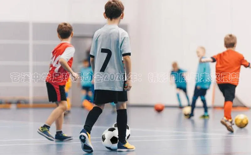 谈球吧官网app华策影视