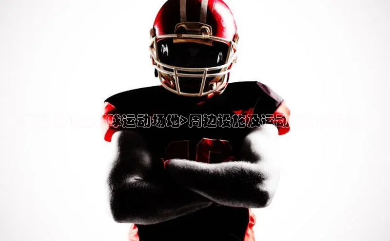 谈球吧体育app下载官网百度学术