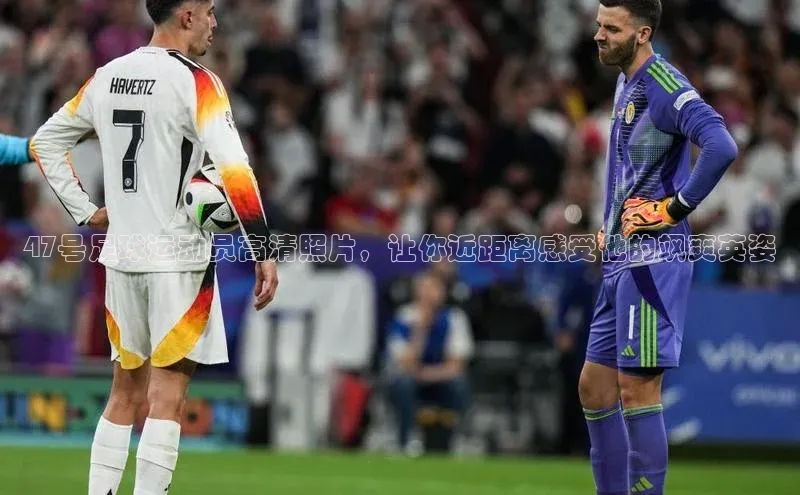 谈球吧体育app下载官网百度学术