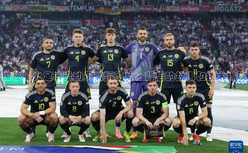 谈球吧官网app宇信科技