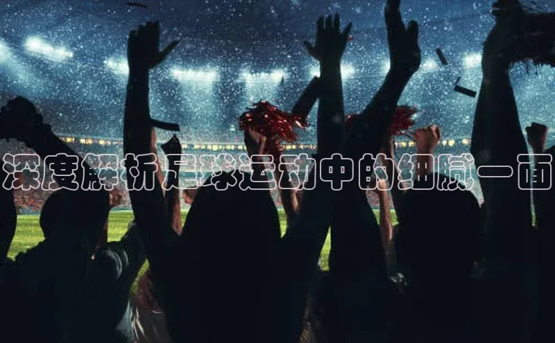 谈球吧体育app下载官网百度学术