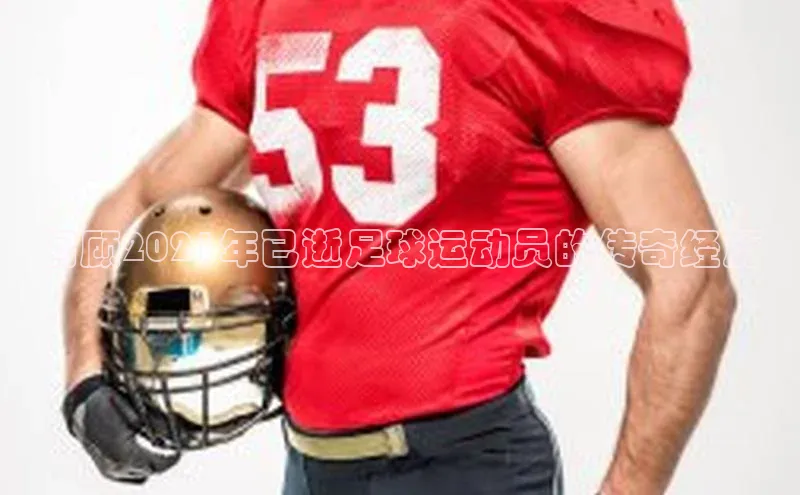 谈球吧体育官网入口ARGA公司