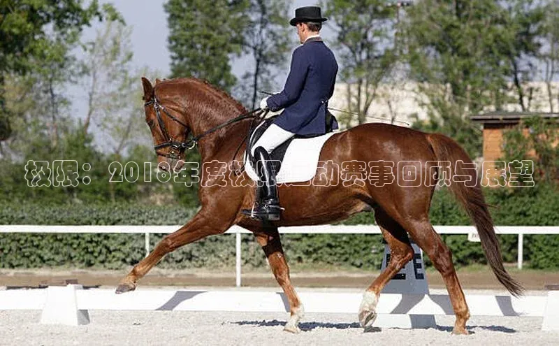 谈球吧网页版在线入口