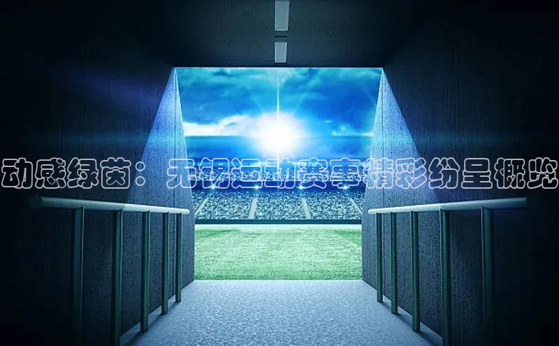 谈球吧体育官网最新在线入口