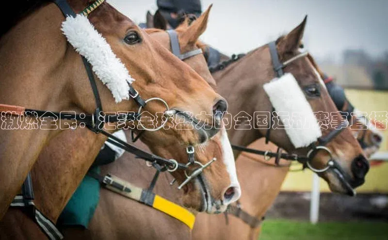 谈球吧网页登录