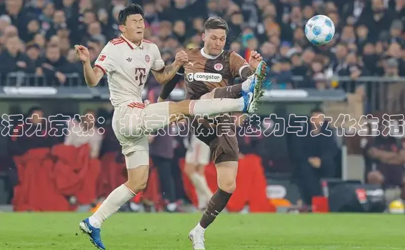 谈球吧网页登录